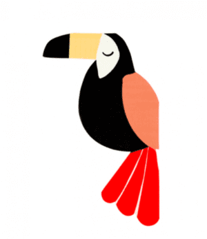 Meri Meri Napkin Large Toucan