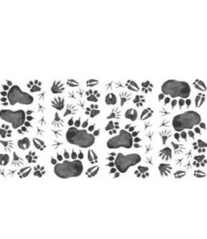 Wall Stickers Footprints by RoomMates