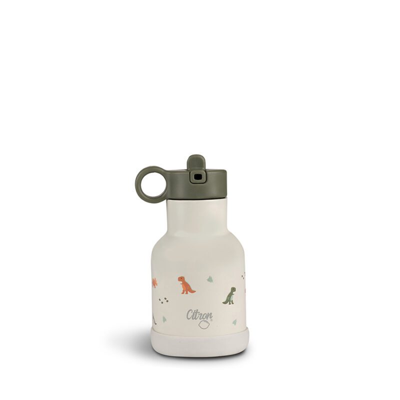 Water Bottle 250 ml - Dino By Citron