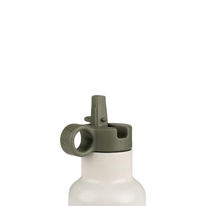 Water Bottle 250 ml - Dino By Citron - Image 3