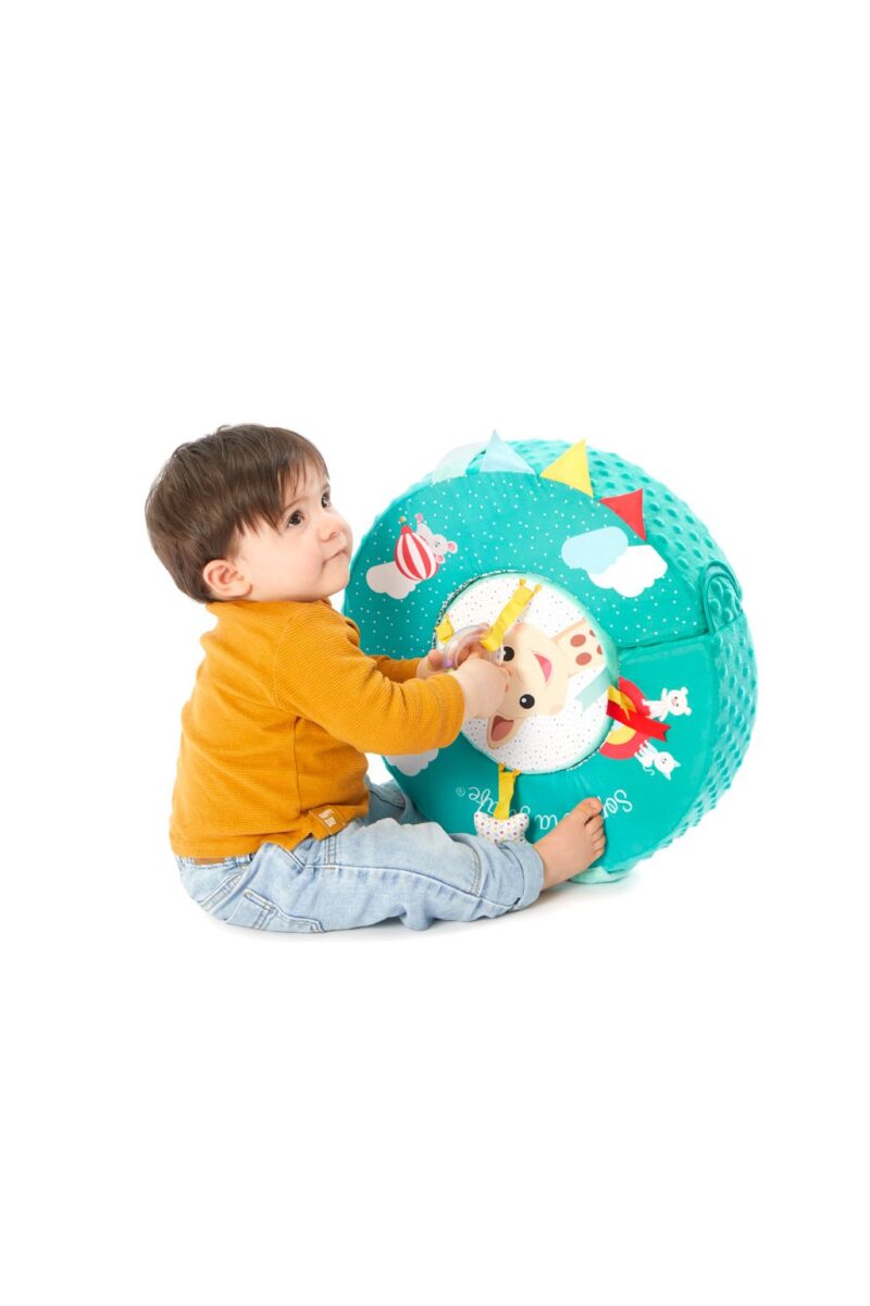 Spinning Skill Wheel By Sophie The Giraffe - Image 3