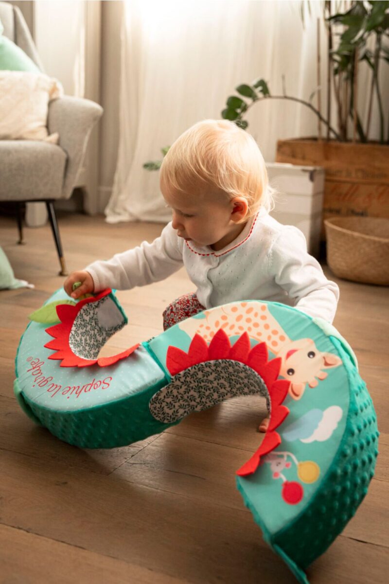 Spinning Skill Wheel By Sophie The Giraffe - Image 5