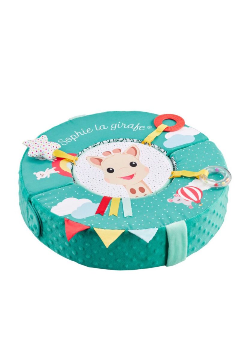 Spinning Skill Wheel By Sophie The Giraffe