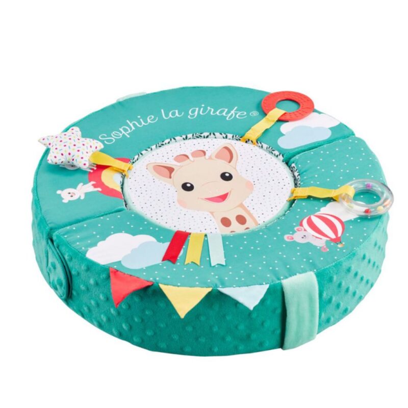 Spinning Skill Wheel By Sophie The Giraffe