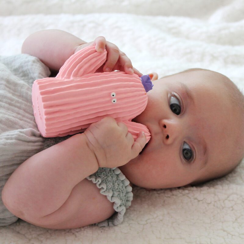 Lanco Natural Rubber Teether-Bath Toy Pink "Cactus" - Image 4