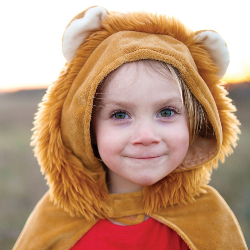 Great Pretenders Children's Cape Lion 2-3 Years - Image 5