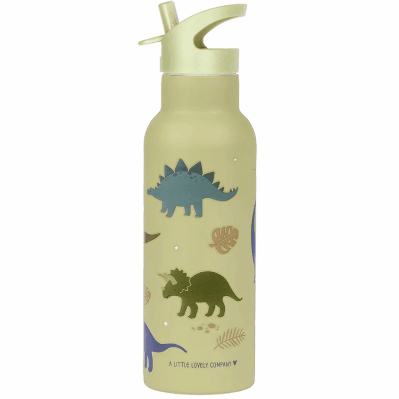 XL Stainless Steel Drink Bottle Dinosaurs By A Little Lovely Company