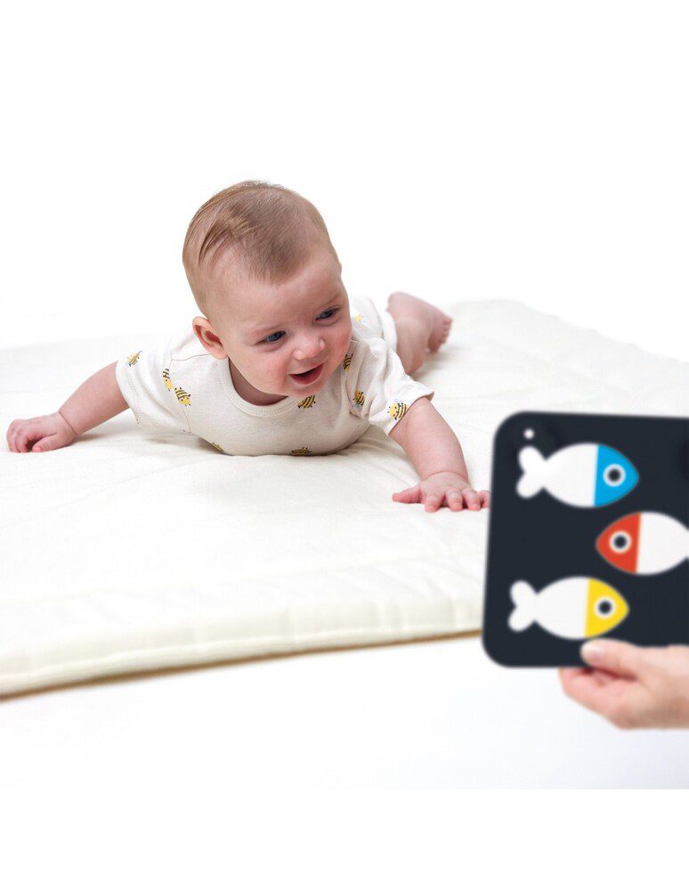 High Contrast Baby Cards 0M+ 3M+ By Banana Panda - Image 6