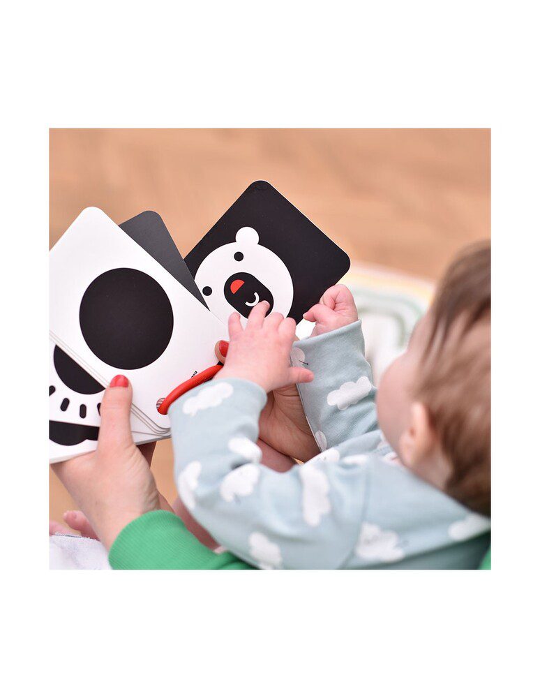 High Contrast Flash Cards On A Ring 0M+ By Banana Panda - Image 3