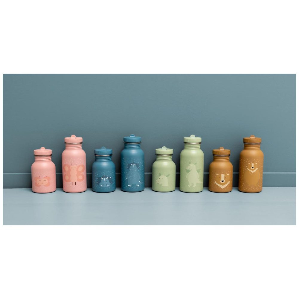 Bottle 500ml Mr. Triceratops - Image 7