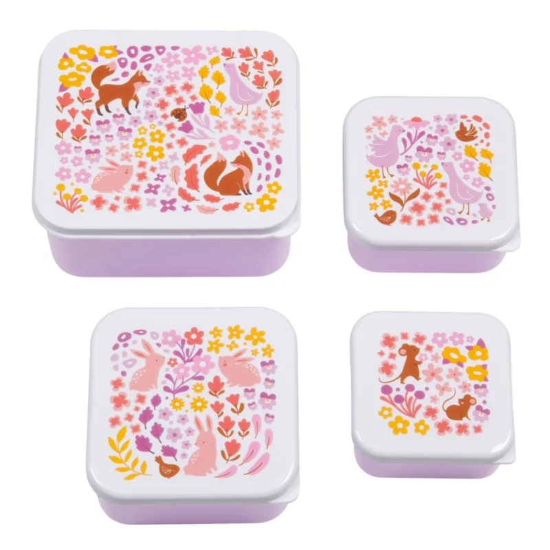 Lunch & Snack Box Set Flower Garden By Little Lovely Company